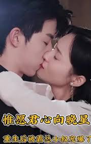 惟愿君心向晚星 第04集