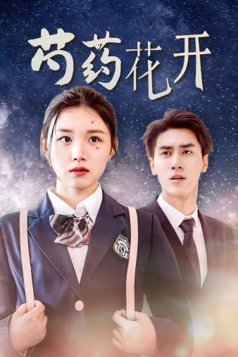 芍药花开 第11集
